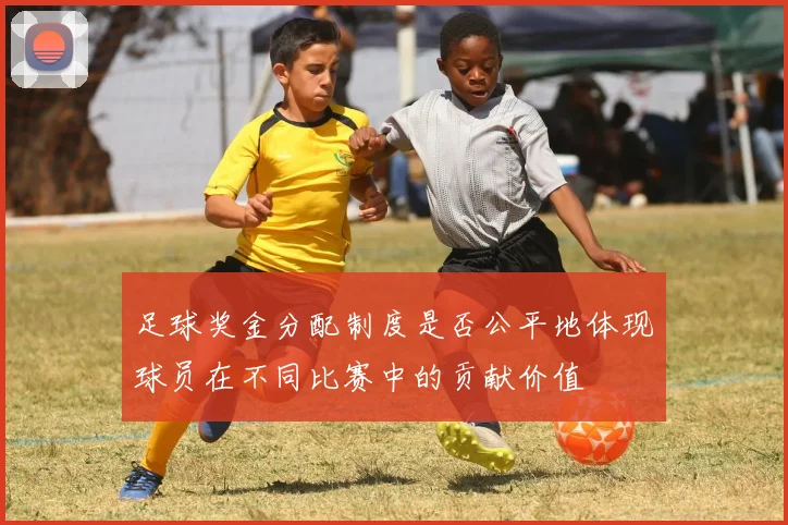 足球奖金分配制度是否公平地体现球员在不同比赛中的贡献价值