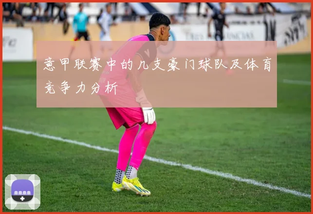 意甲联赛中的几支豪门球队及体育竞争力分析
