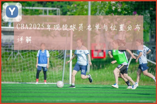 CBA2025年现役球员名单与位置分布详解