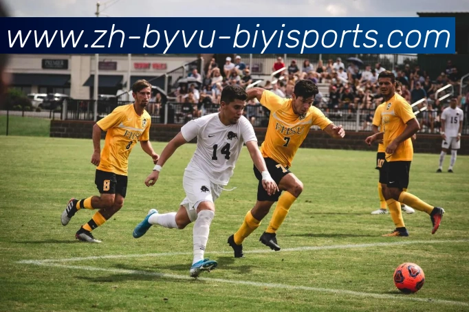 必一体育官方网站平台生态图